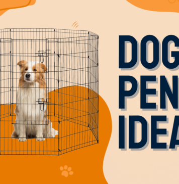 Dog Pen diy Ideas