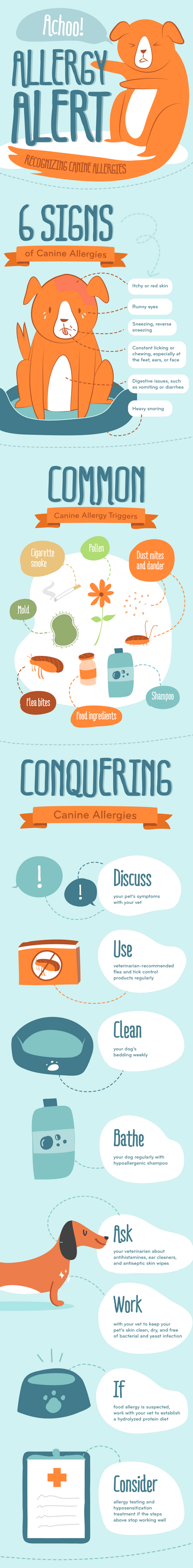 Dog allergies infographic