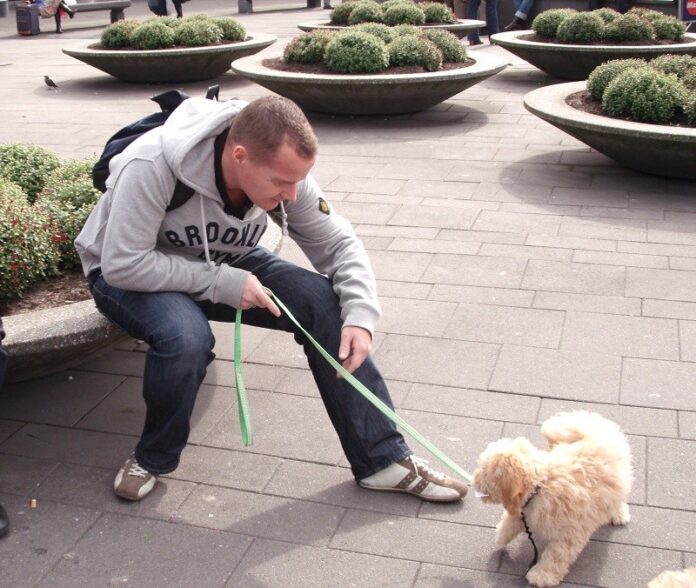 Dog on a tight leash