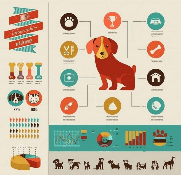 Dogs needs infographic