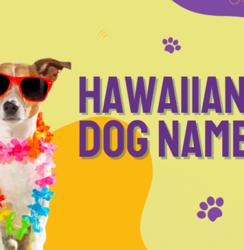 Hawaiian names for dogs