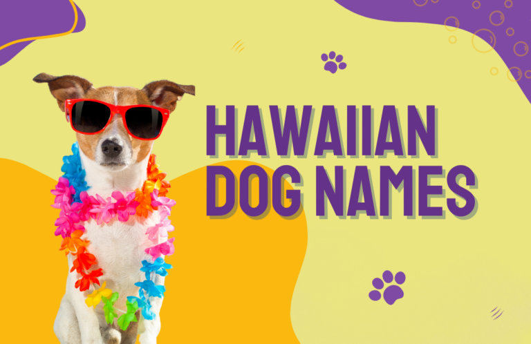 Hawaiian names for dogs