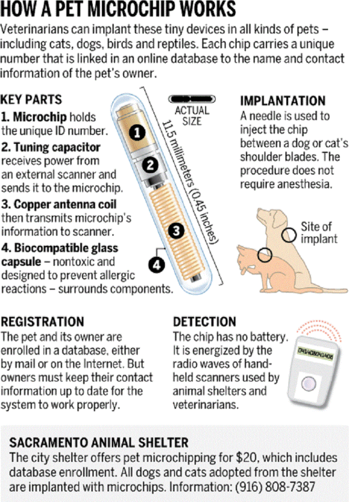 How microchip works