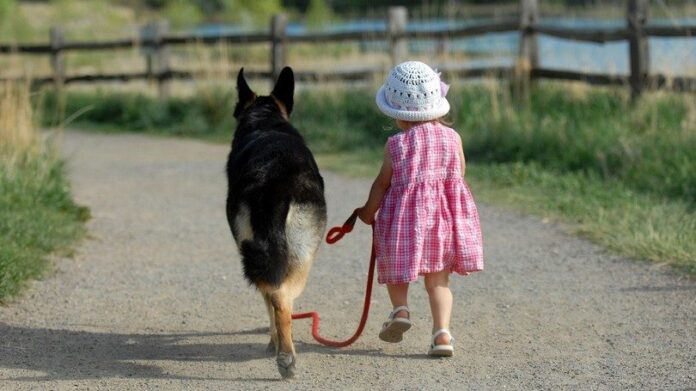 Little girl walking a dog