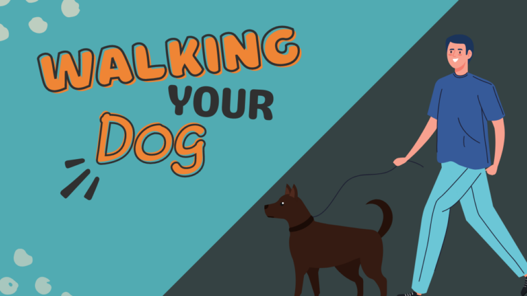 Walking Your Dog