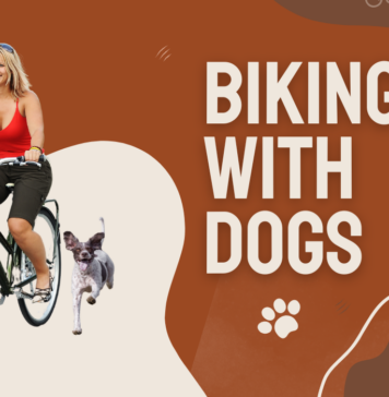 biking with dogs