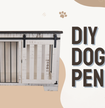 diy Dog Pen