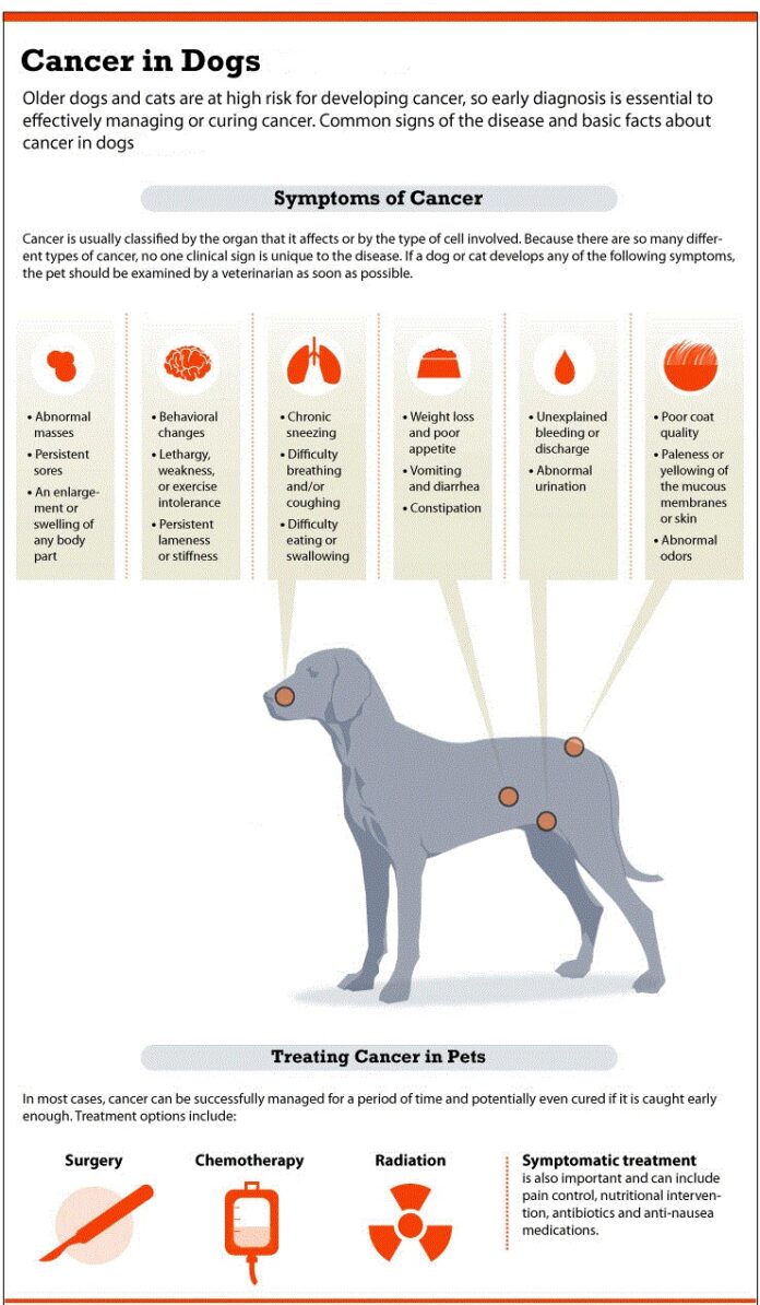 Cancer-signs-in-dogs