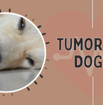 Dog Tumor