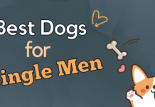 Dogs For Single Man - Breeds