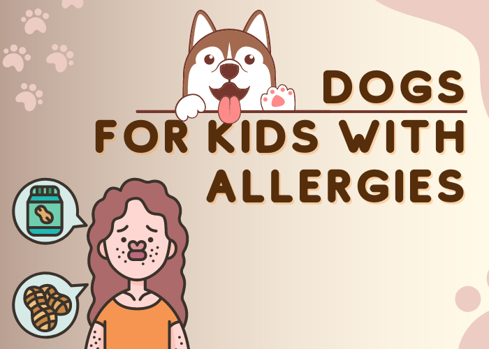 Best Dogs for Kids With Allergies – Which Breed to Choose?