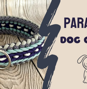 Paracord Dog Collar - DIY Guide