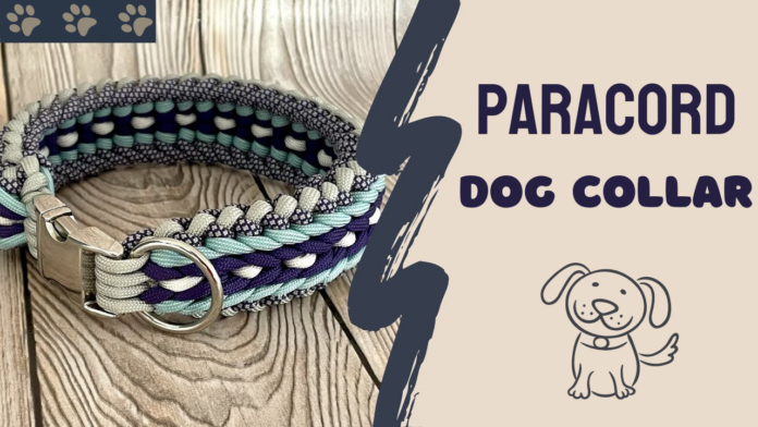 Paracord Dog Collar - DIY Guide