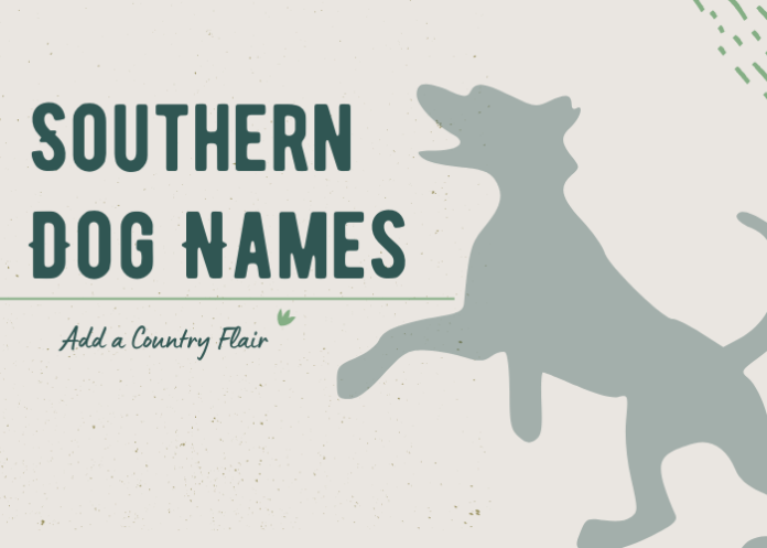 Southern Dog Names Ideas