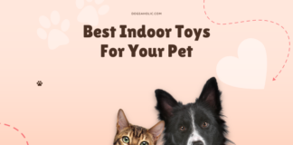 Toys for dogs and cats
