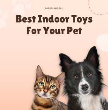 Toys for dogs and cats