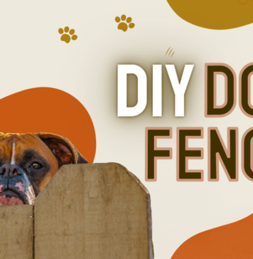 make your own dog fence