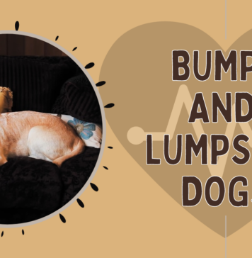 Bumps and Lumps on Dogs - Canine health