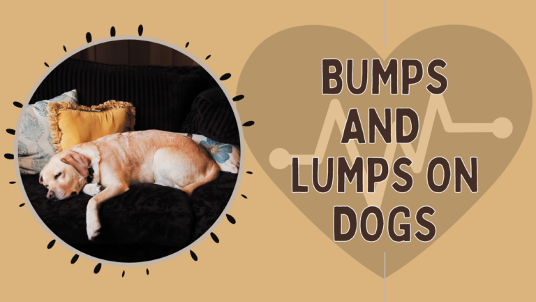 Bumps and Lumps on Dogs - Canine health