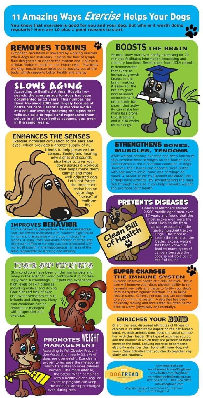 Doggie-exercise-benefits