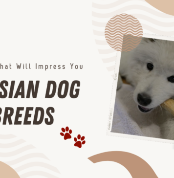 Russian Dogs - Extinct Breeds