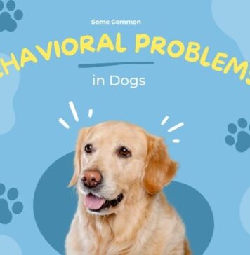 problems in dogs