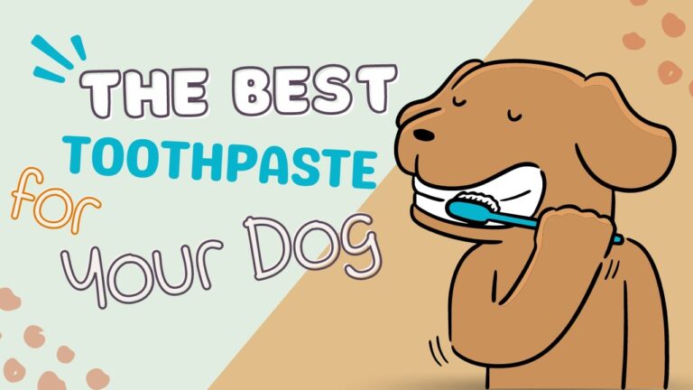 What Is the Best Dog Toothpaste? – Pearly Whites for Pups
