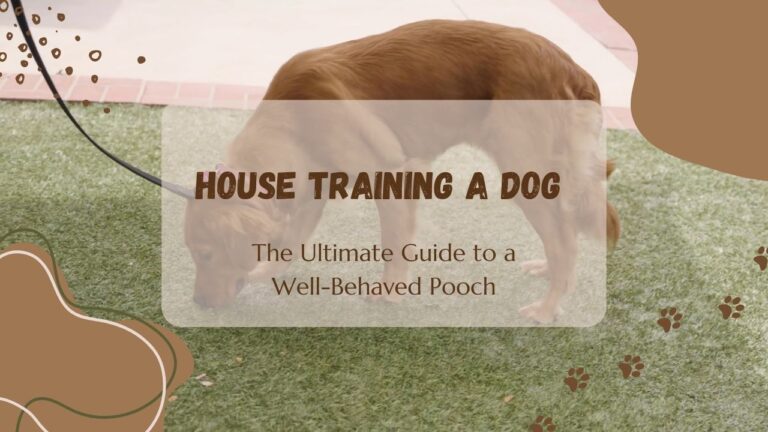 House Training a Dog: The Ultimate Guide to a Well-Behaved Pooch