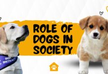 Role of Dogs in Society