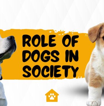 Role of Dogs in Society