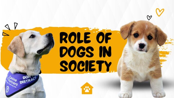 Role of Dogs in Society