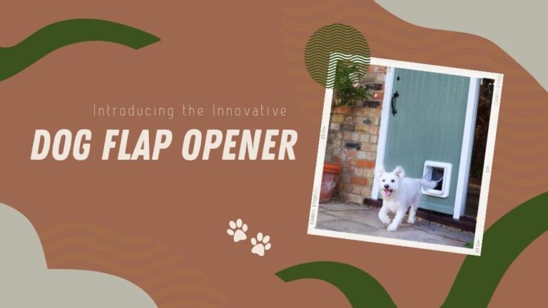 Dog Flap Opener