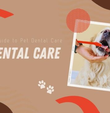 Pet Dental Care