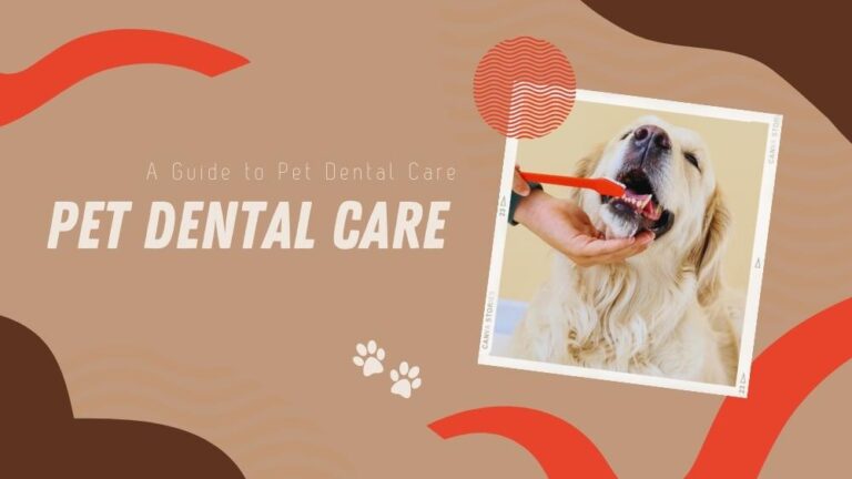 Pet Dental Care