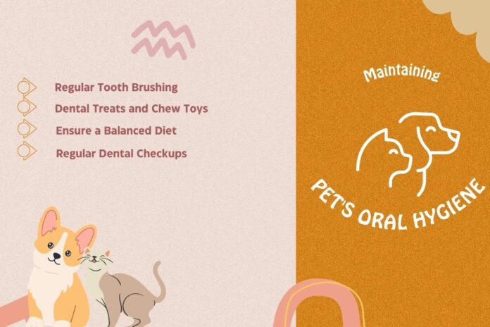 Tips for Maintaining Your Pet's Oral Hygiene