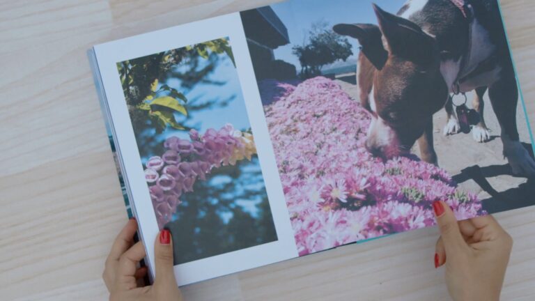How to Create Memorable Photo Books of Your Dogs: Capturing Canine Adventures