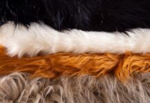 DIY vs. Store-Bought Animal Coats: Which Is Better? DIY vs. Store-Bought Animal Coats