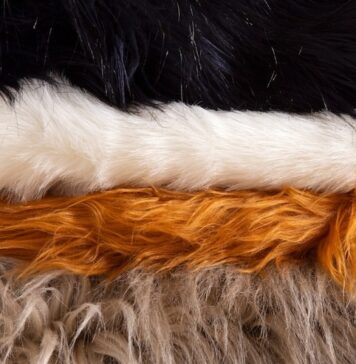 DIY vs. Store-Bought Animal Coats